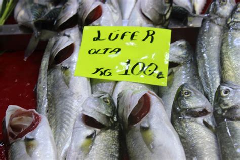 balık fiyatları güncel